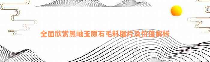 全面欣赏黑岫玉原石毛料图片及价值解析