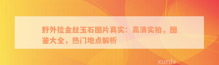 野外捡金丝玉石图片真实：高清实拍，图鉴大全，热门地点解析