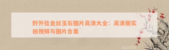 野外捡金丝玉石图片高清大全：高清版实拍视频与图片合集