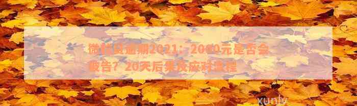 微粒贷逾期2021：2000元是否会被告？20天后果及应对流程