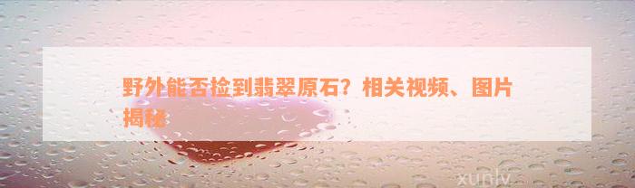 野外能否捡到翡翠原石？相关视频、图片揭秘