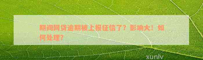 期间网贷逾期被上报征信了？影响大！如何处理？