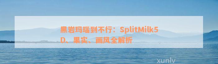 黑岩玛瑙到不行：SplitMilk5D、果实、画风全解析