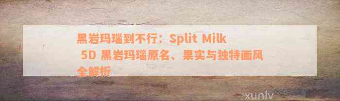 黑岩玛瑙到不行：Split Milk 5D 黑岩玛瑙原名、果实与独特画风全解析