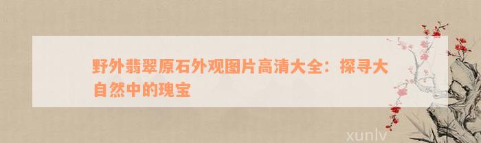 野外翡翠原石外观图片高清大全：探寻大自然中的瑰宝