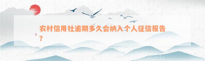 农村信用社逾期多久会纳入个人征信报告？