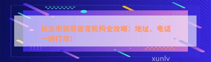 长治市翡翠鉴定机构全攻略：地址、电话一网打尽！