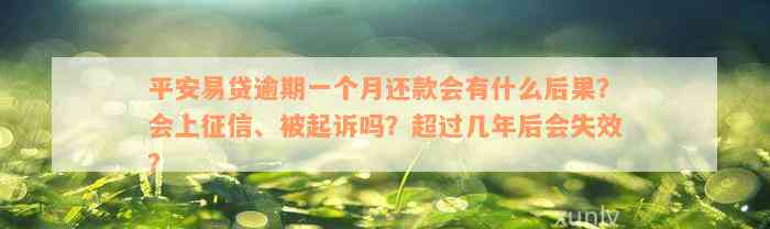 平安易贷逾期一个月还款会有什么后果？会上征信、被起诉吗？超过几年后会失效？