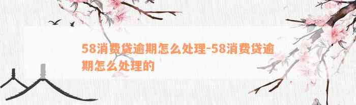 58消费贷逾期怎么处理-58消费贷逾期怎么处理的