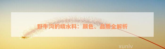 野牛沟的晴水料：颜色、品质全解析