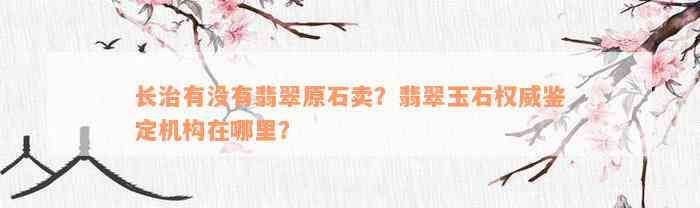 长治有没有翡翠原石卖？翡翠玉石权威鉴定机构在哪里？