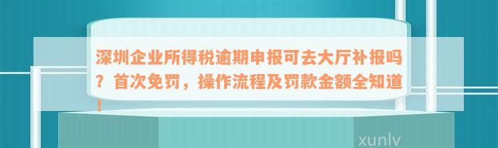 深圳企业所得税逾期申报可去大厅补报吗？首次免罚，操作流程及罚款金额全知道！