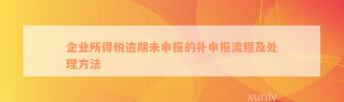 企业所得税逾期未申报的补申报流程及处理方法