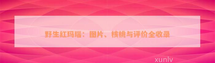 野生红玛瑙：图片、核桃与评价全收录