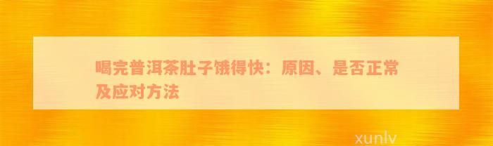 喝完普洱茶肚子饿得快：原因、是否正常及应对方法