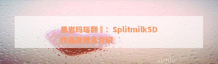 黑岩玛瑙翻訳：Splitmilk5D作品及原名介绍