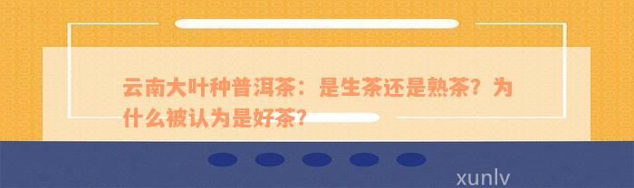 云南大叶种普洱茶：是生茶还是熟茶？为什么被认为是好茶？