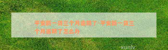 平安新一贷三个月逾期了-平安新一贷三个月逾期了怎么办