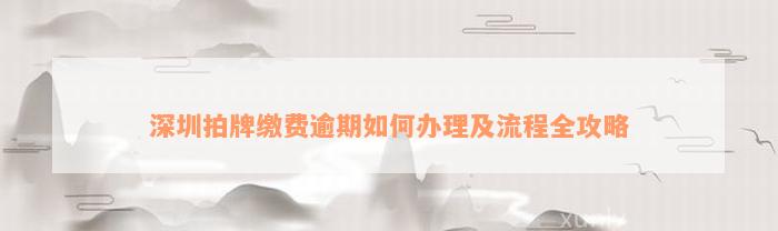 深圳拍牌缴费逾期如何办理及流程全攻略