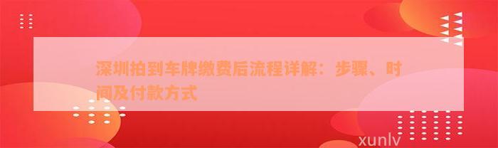 深圳拍到车牌缴费后流程详解：步骤、时间及付款方式