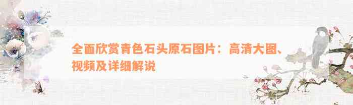 全面欣赏青色石头原石图片：高清大图、视频及详细解说