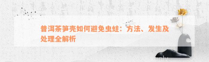 普洱茶笋壳如何避免虫蛀：方法、发生及处理全解析