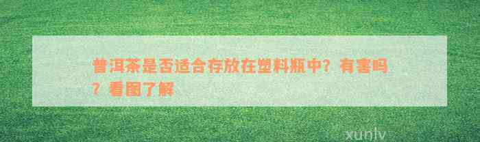 普洱茶是否适合存放在塑料瓶中？有害吗？看图了解