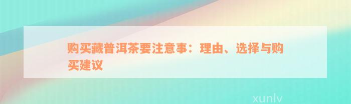 购买藏普洱茶要注意事：理由、选择与购买建议