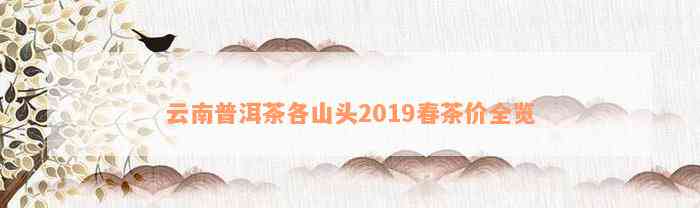 云南普洱茶各山头2019春茶价全览