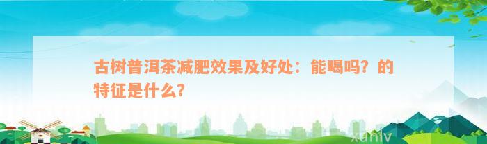 古树普洱茶减肥效果及好处：能喝吗？的特征是什么？