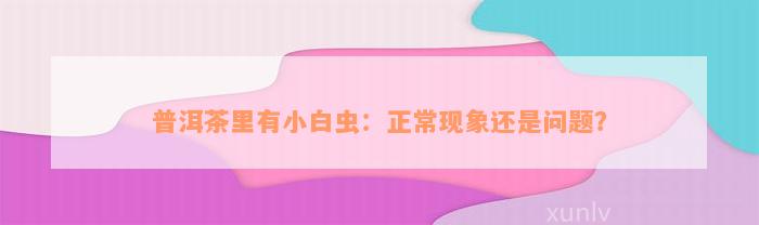 普洱茶里有小白虫：正常现象还是问题？