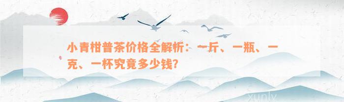 小青柑普茶价格全解析：一斤、一瓶、一克、一杯究竟多少钱？