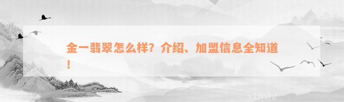 金一翡翠怎么样？介绍、加盟信息全知道！