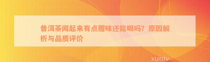 普洱茶闻起来有点腥味还能喝吗？原因解析与品质评价