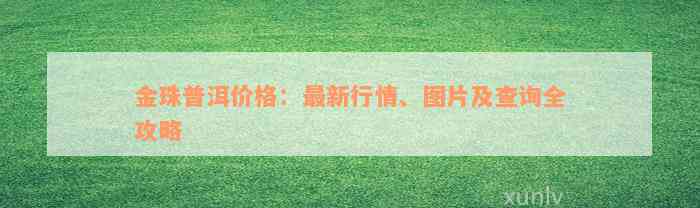 金珠普洱价格：最新行情、图片及查询全攻略