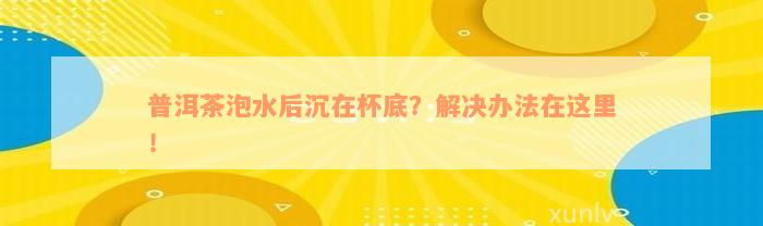 普洱茶泡水后沉在杯底？解决办法在这里！