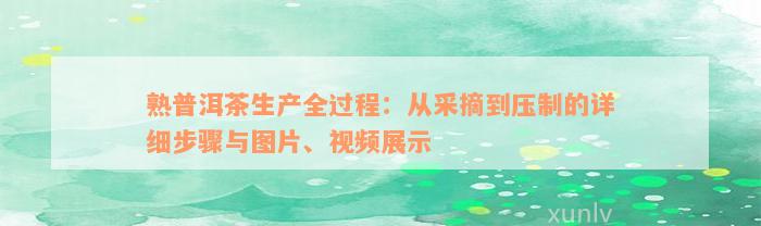 熟普洱茶生产全过程：从采摘到压制的详细步骤与图片、视频展示