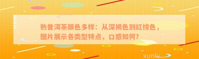 熟普洱茶颜色多样：从深褐色到红棕色，图片展示各类型特点，口感如何？