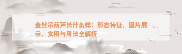 金丝吊葫芦长什么样：形态特征、图片展示、食用与用法全解析