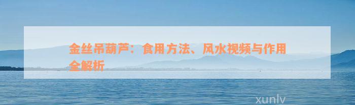 金丝吊葫芦：食用方法、风水视频与作用全解析