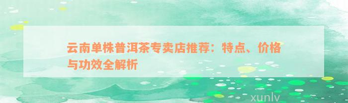 云南单株普洱茶专卖店推荐：特点、价格与功效全解析