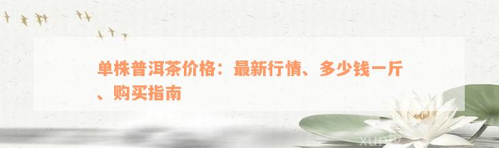 单株普洱茶价格：最新行情、多少钱一斤、购买指南