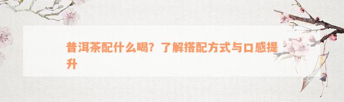 普洱茶配什么喝？了解搭配方式与口感提升