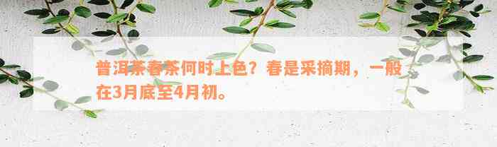 普洱茶春茶何时上色？春是采摘期，一般在3月底至4月初。