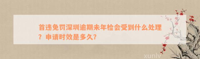 首违免罚深圳逾期未年检会受到什么处理？申请时效是多久？