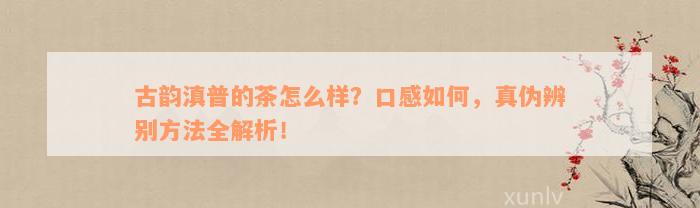 古韵滇普的茶怎么样？口感如何，真伪辨别方法全解析！