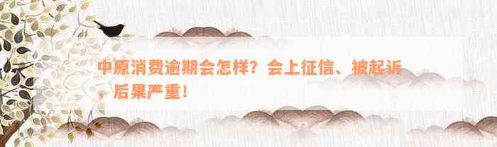 中原消费逾期会怎样？会上征信、被起诉，后果严重！