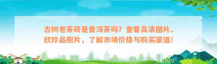 古树老茶砖是普洱茶吗？查看高清图片、欣珍品照片，了解市场价格与购买渠道！