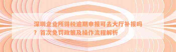 深圳企业所得税逾期申报可去大厅补报吗？首次免罚政策及操作流程解析