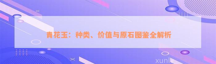 青花玉：种类、价值与原石图鉴全解析